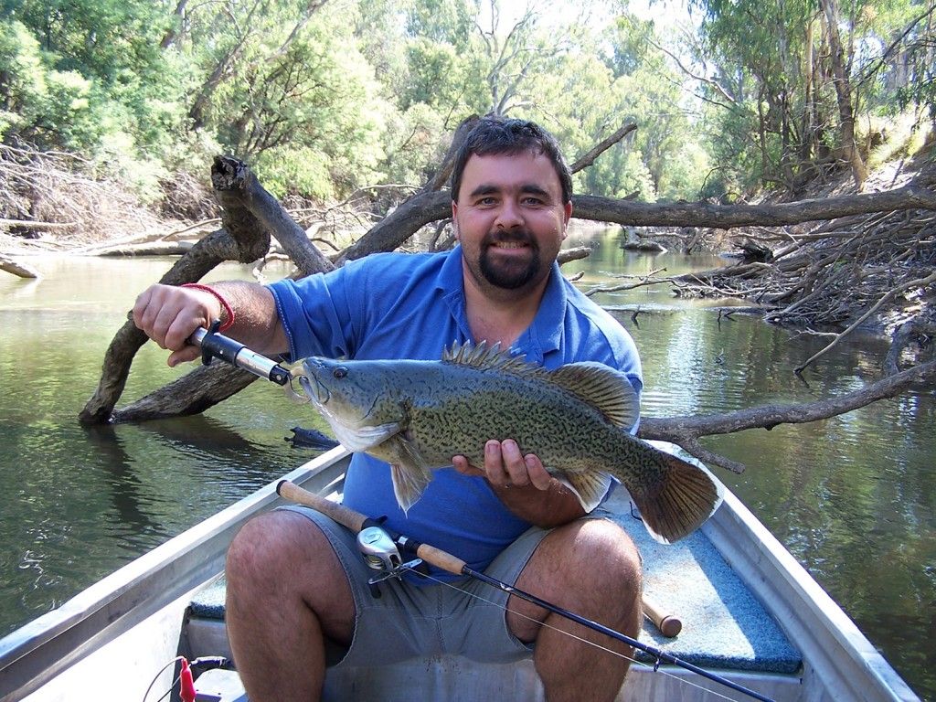 An angler holds a Trout cod taken from the Ovens River near Peechelba.