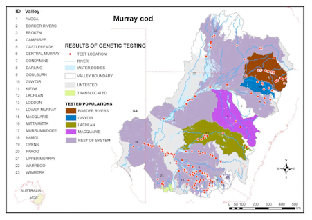 Sampling locations for genetic work and probably population boundaries for Murray cod.