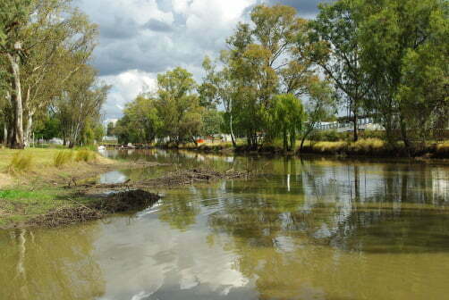 Myall Creek before restoration